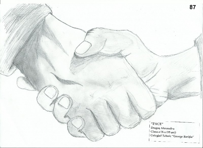 87_Alexandru DRAGOS_Col Baritiu.jpg